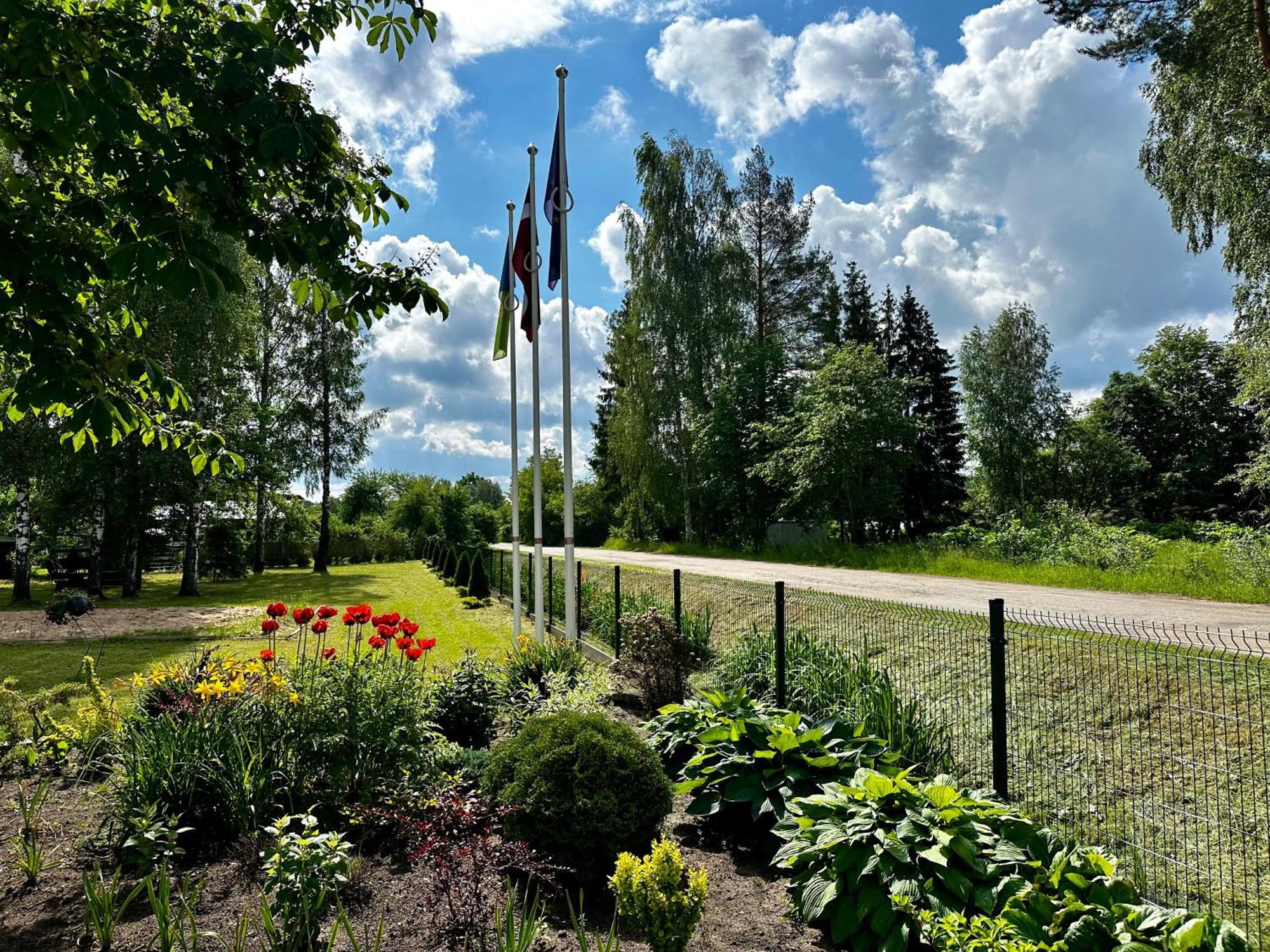 Villa Gales Hotel 사울크라스티 외부 사진
